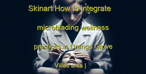 Skinart How to integrate microblading wellness practices in Orange Grove Villas area | MicrobladingTraining | MicrobladingClasses | SkinartTraining-United States